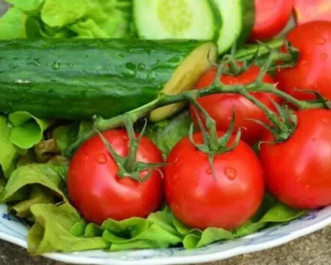 Lunchkarte Salat De Elsgraven
